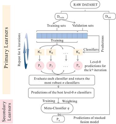Nonlinear model prediction of needle chlorophyll content of Picea koraiensis Nakai at different needle ages based on hyperspectral features